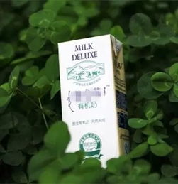 有機食品價格高企，馬鞍山美食廣場熱議 是健康投資還是消費泡沫？